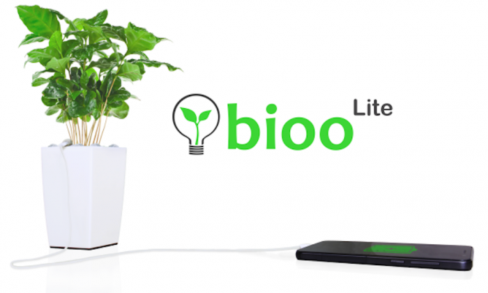 Making Electricity from Plants – Interview with Pablo Vidarte CEO of Bioo