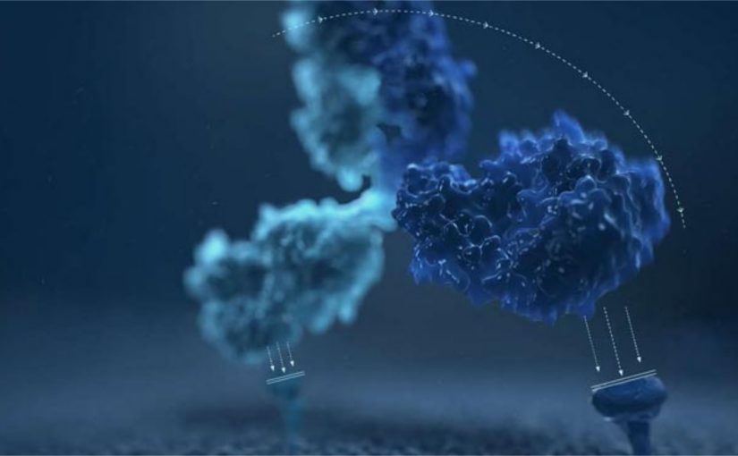 Interview with Dr Robert Wilkinson from MedImmune