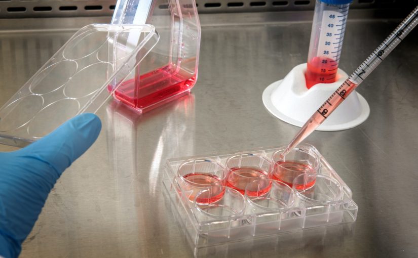 Breaking Down Allogeneic Cell Therapy: A New Path for Heart Treatment